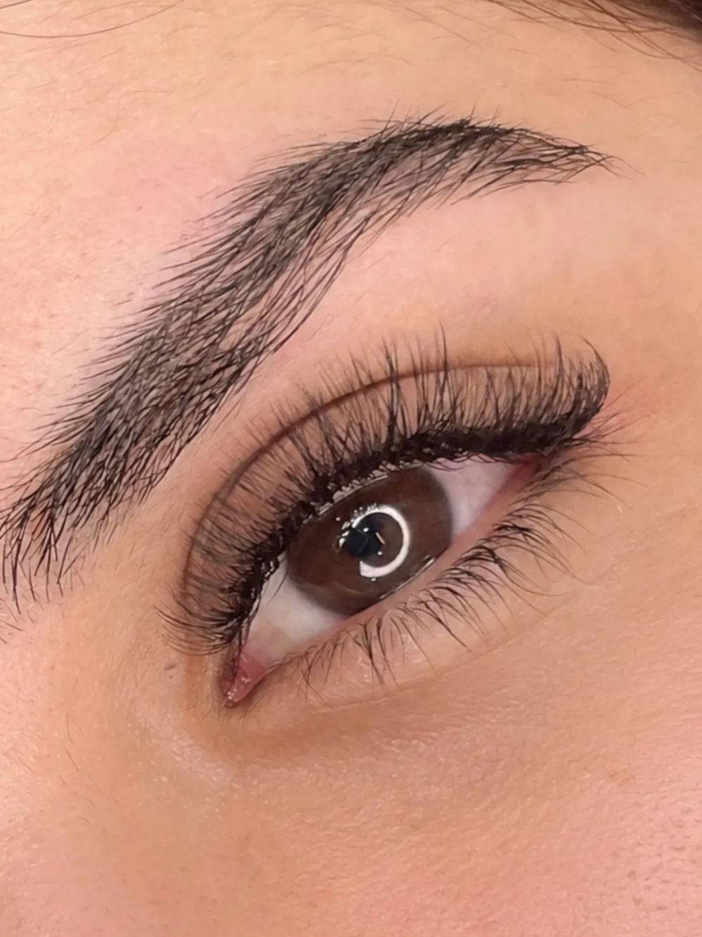 Light volume lash extensions in Dubai, fuller, defined lash line at AZIZAM beauty salon